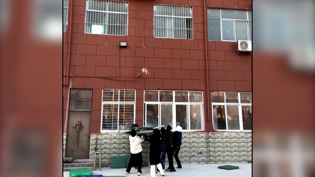 Kocour uvázl ve druhém patře na fasádě, chytili jej do podušek